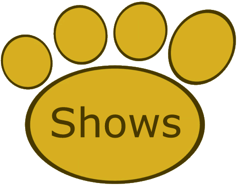 Dreli-Bears - shows